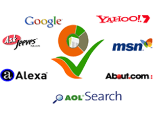 Expert search engine optimization